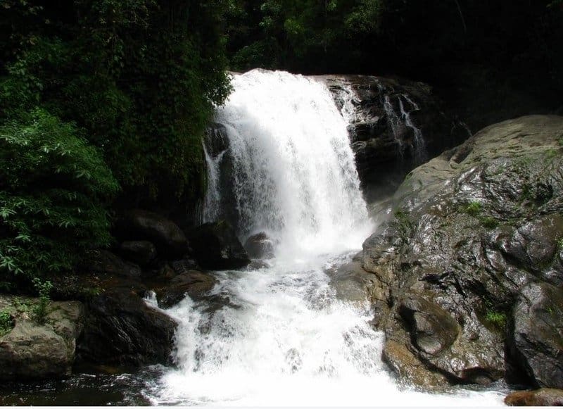 Attukad Waterfalls, Munnar